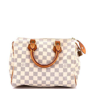 Louis Vuitton Speedy Handbag Damier 25 #249353L10B